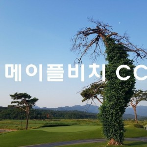 메이플비치CC